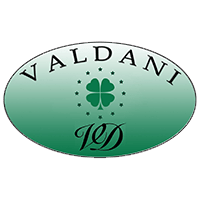 Valdani Logo Europe